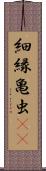 細縁亀虫(rK) Scroll