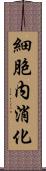 細胞内消化 Scroll