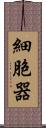 細胞器 Scroll