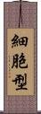 細胞型 Scroll