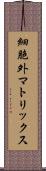 細胞外マトリックス Scroll