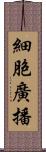 細胞廣播 Scroll