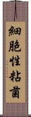 細胞性粘菌 Scroll