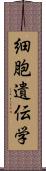 細胞遺伝学 Scroll