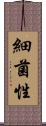細菌性 Scroll
