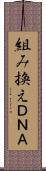 組み換えＤＮＡ Scroll