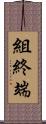 組終端 Scroll