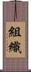 組織 Scroll