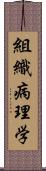 組織病理学 Scroll