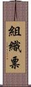 組織票 Scroll