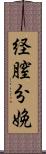 経膣分娩 Scroll