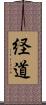 経道 Scroll