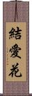 結愛花 Scroll