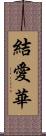 結愛華 Scroll