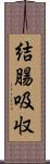 結腸吸収 Scroll