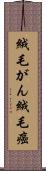絨毛がん Scroll