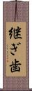 継ぎ歯 Scroll