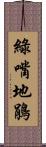 綠嘴地鵑 Scroll