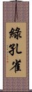 綠孔雀 Scroll