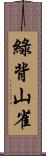 綠背山雀 Scroll