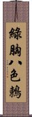 綠胸八色鶇 Scroll