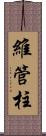 維管柱 Scroll