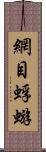 網目蜉蝣 Scroll