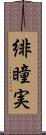 緋瞳実 Scroll