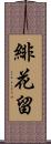 緋花留 Scroll