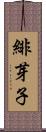 緋芽子 Scroll