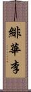 緋華李 Scroll