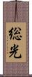 総光 Scroll