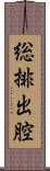 総排出腔 Scroll