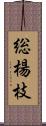 総楊枝 Scroll