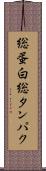 総蛋白 Scroll