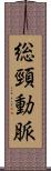 総頸動脈 Scroll