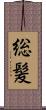 総髪 Scroll