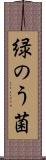 緑のう菌 Scroll