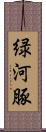 緑河豚 Scroll