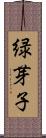 緑芽子 Scroll