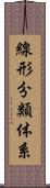 線形分類体系 Scroll