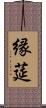 縁莚 Scroll