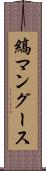 縞マングース Scroll