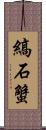 縞石蟹 Scroll