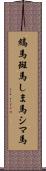 縞馬;斑馬;しま馬;シマ馬 Scroll