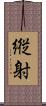 縦射 Scroll