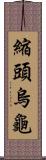 縮頭烏龜 Scroll