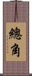 總角 Scroll