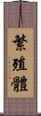 繁殖體 Scroll