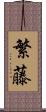 繁藤 Scroll